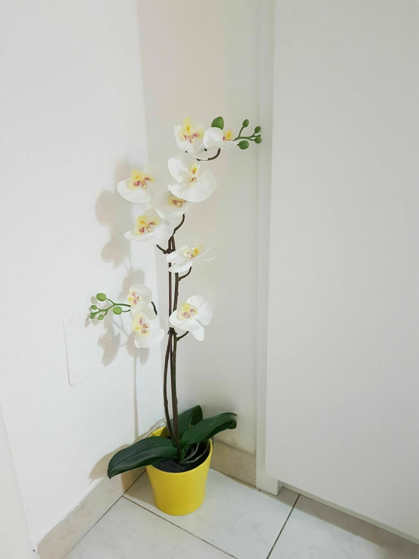 Happy Apartment ليتشي المظهر الخارجي الصورة